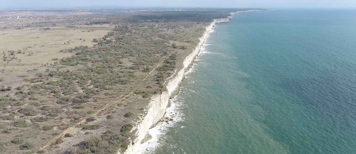 This image for Image Layouts addon