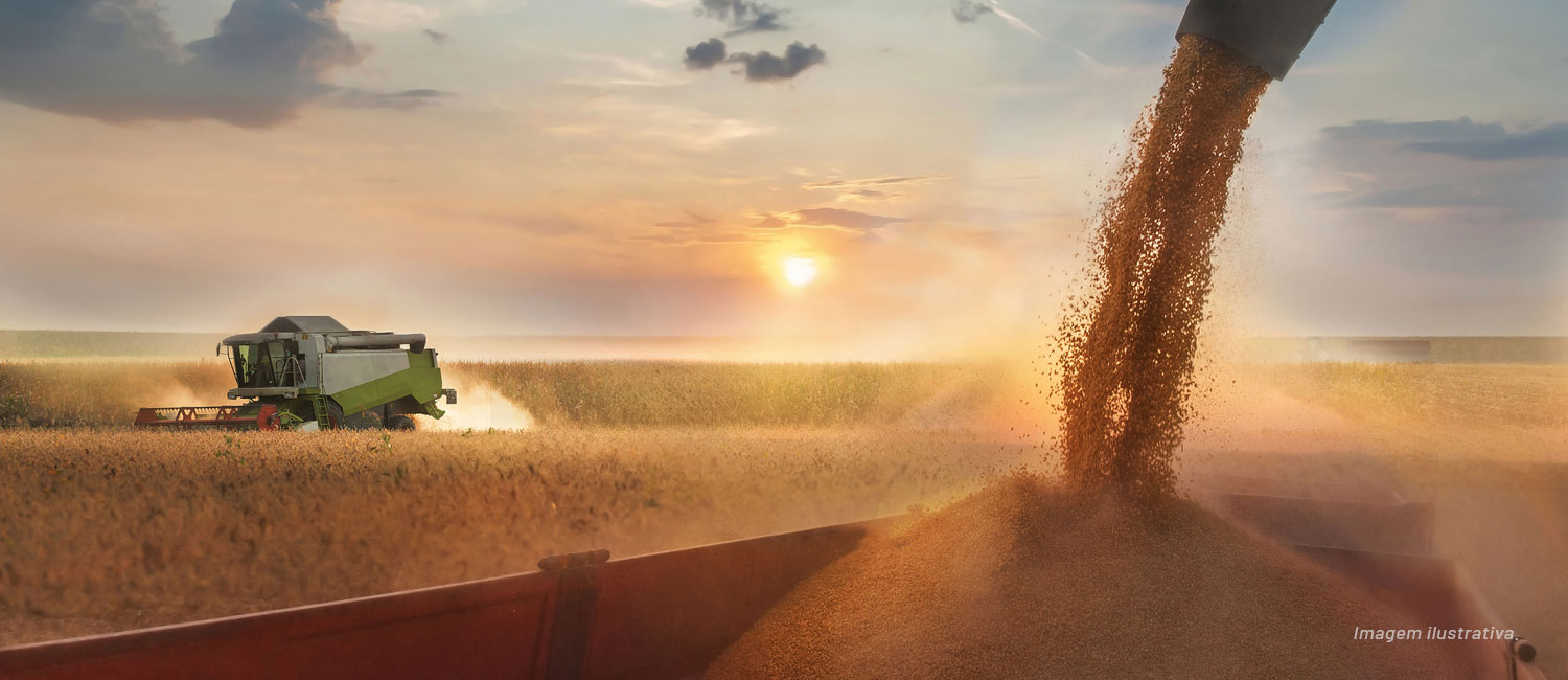 DANDE FREE ZONE ANGOLA