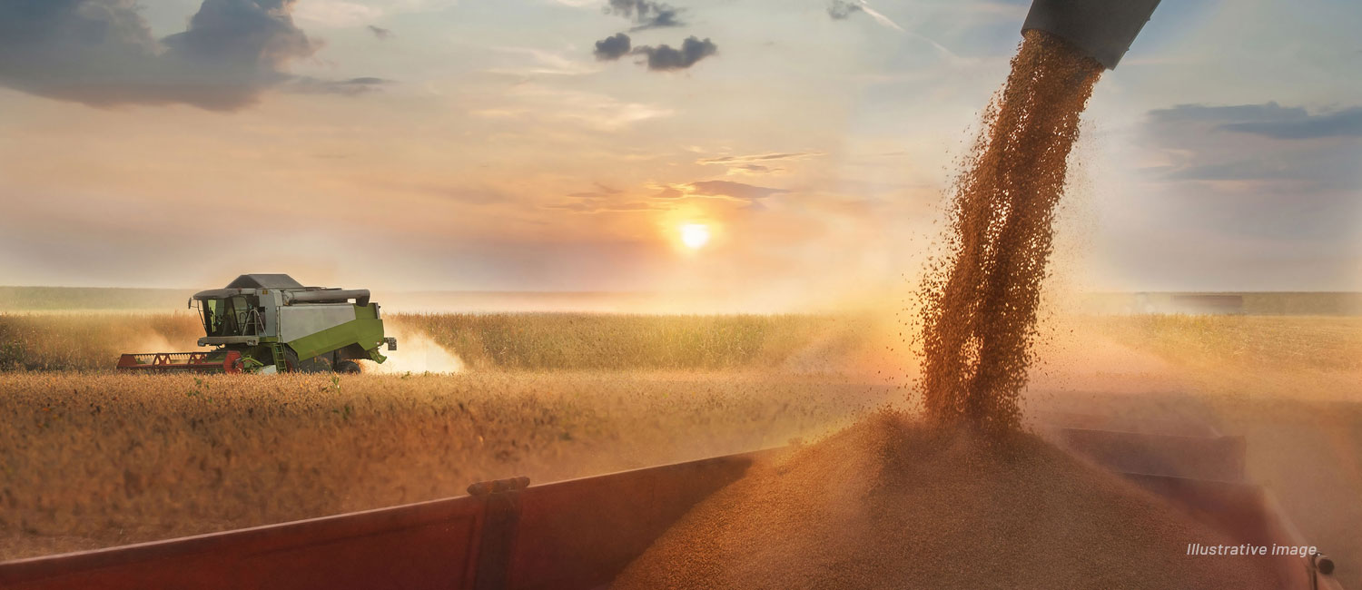 DANDE FREE ZONE ANGOLA